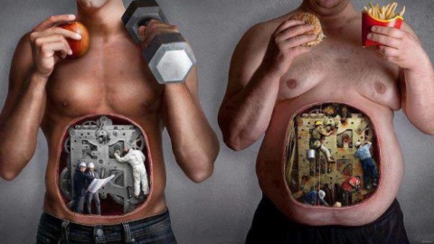 El metabolismo, ¿Qué es y como funciona?