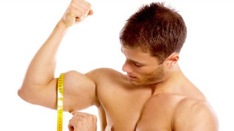 ¿Cómo aumentar tu biceps?