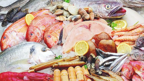Mercurio en los pescados ¿Es un peligro?