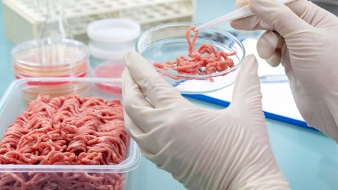 La carne de laboratorio es una realidad