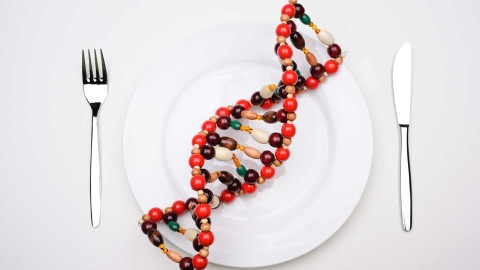 La genética en la nutrición