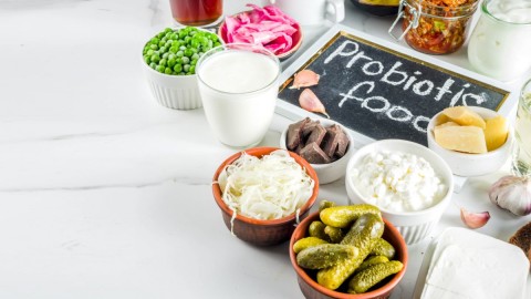 Alimentos probióticos para las digestiones
