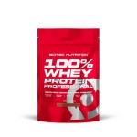 100% Whey Protein Professional - 500 gr