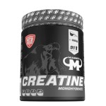 Creatine Monohydrate - 550 gr