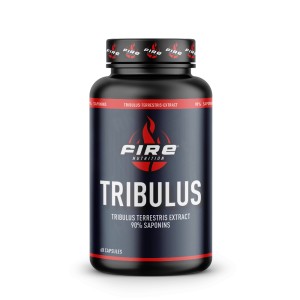 Tribulus - 60 caps.