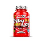 Tribulyn 90 % - 90 caps.