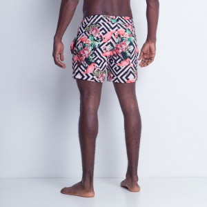 HBE12317 Short LM