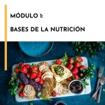 Modulo 1 Online: Bases de la Nutricion